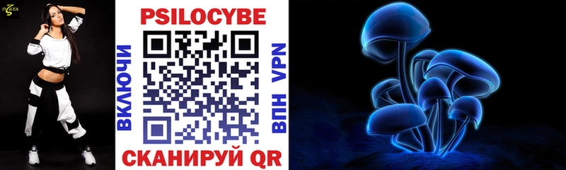 Купить закладки  Сретенск  Псилоцибиновые грибы мухоморы 